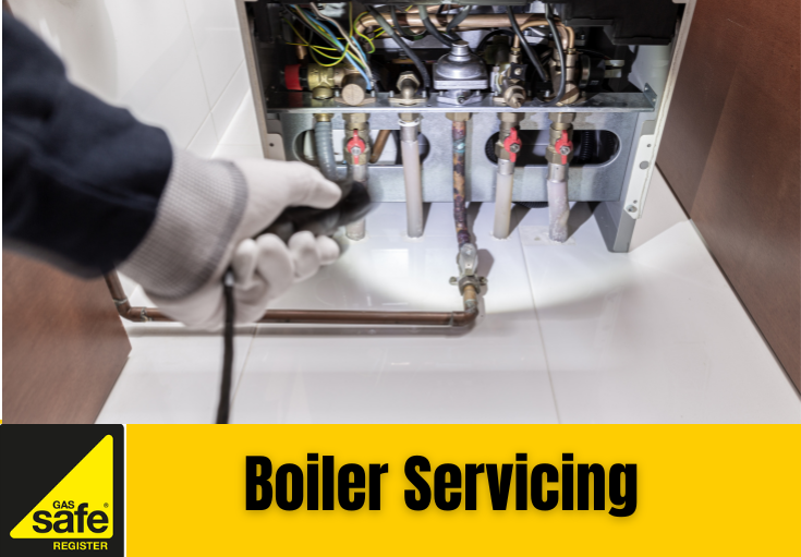 boiler service Higham